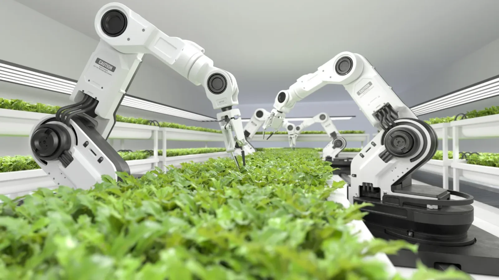 Robotics in Manufacturing – ALSET DEV Blog